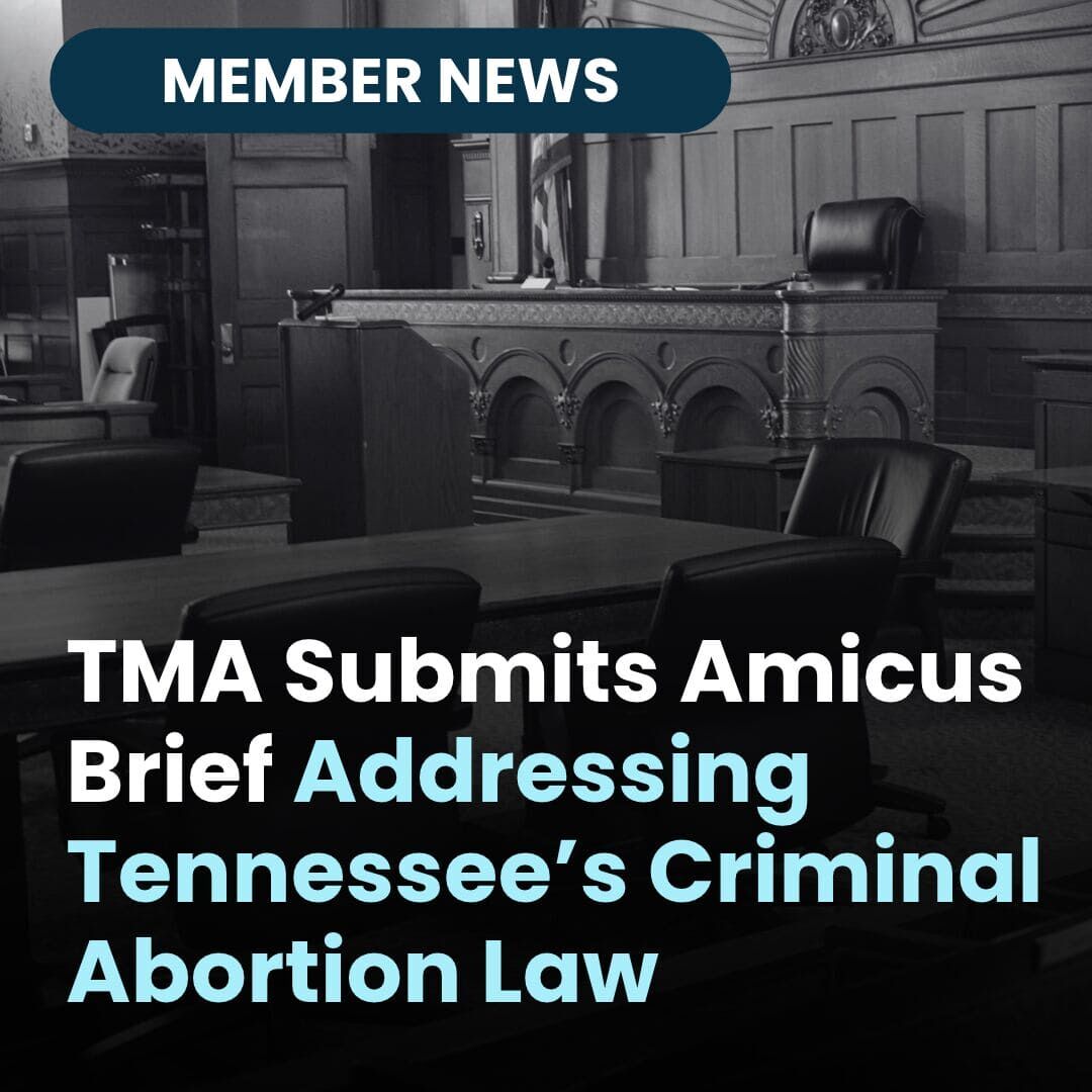 Amicus Brief - Website